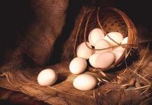 Порча на яйцо — ритуалы наведения Как снимают заговор на яйцах